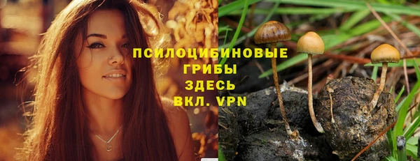 PSILOCYBIN Богородицк